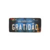 Placa Carro 30x14