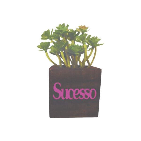 Vaso Cubo 6,5x6,5 Pinus