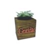 Vaso Cubo 6,5x6,5 Pinus