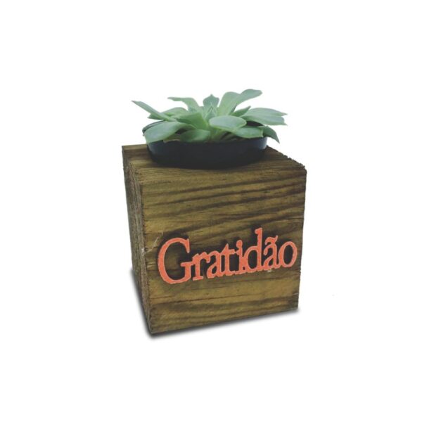 Vaso Cubo 6,5x6,5 Pinus