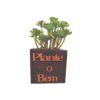 Vaso Cubo 6,5x6,5 Pinus