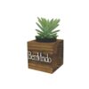 Vaso Cubo 6,5x6,5 Pinus