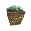 Cachepo Pinus 14x14x9