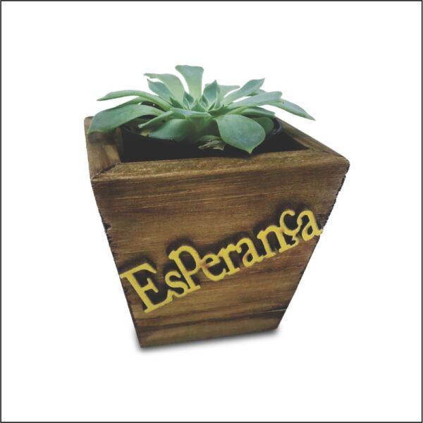 Cachepo Pinus 14x14x9