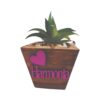 Cachepo Pinus 8x7